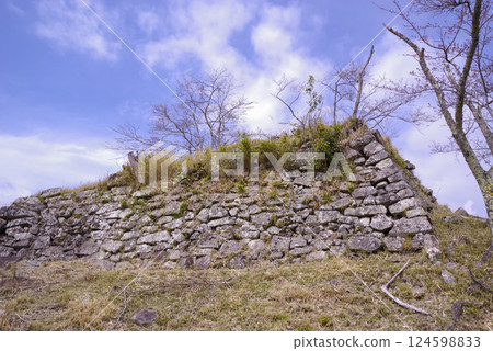 Rijin Castle in Sayo Town, Hyogo Prefecture 124598833