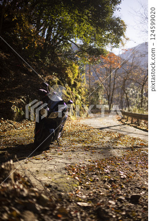 Fall bike touring Fall bike touring 124599020