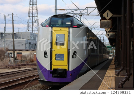 停泊在東室蘭站的 Kiha 261 系列北斗特快列車 124599321