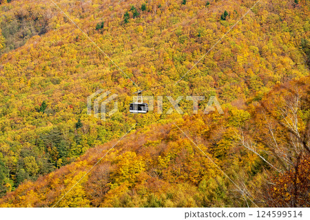 Autumn Zao 124599514