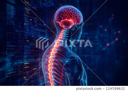 Human spinal cord, nerve connections - futuristic medical technology concept 124599632