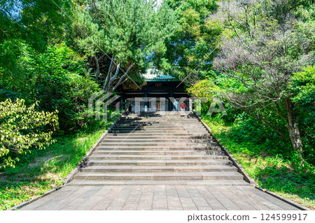 [東京] 自然資源豐富的湯島聖島 124599917