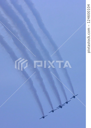 Blue Impulse-22 124600104