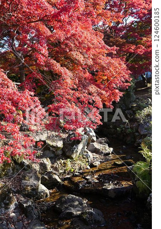 A beautiful landscape of autumn leaves and a river A beautiful landscape of autumn leaves and a river 124600185