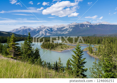 Summer Landscape of Athabasca River with Sandbars and Forest in the Canadian Rockies. Jasper National Park, Alberta, Canada 124600251