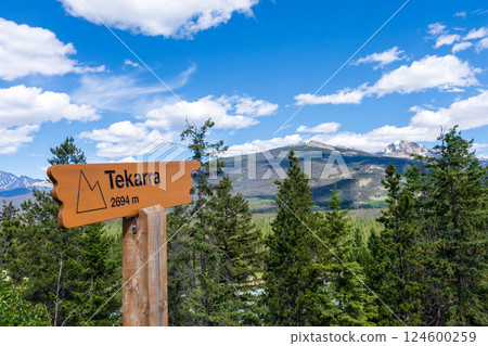 Mount Tekarra Signpost in Jasper National Park. Canadian Rockies summer landscape. Alberta, Canada 124600259