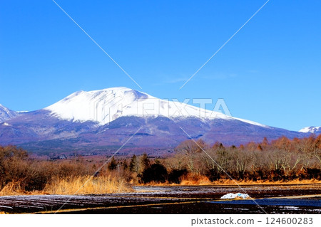 二月的白雪皚皚的淺間山 信州的山脈 信州的大自然 二月的白雪皚皚的淺間山 信州的山脈 信州的大自然 124600283