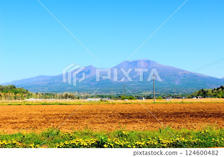 五月的淺間山 信州山 信州自然 五月的淺間山 信州山 信州自然 124600482