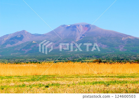 Mount Asama in May　Shinshu Mountains　Shinshu Nature 124600503