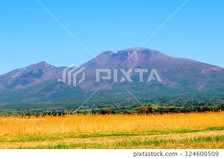 五月的淺間山 信州山 信州自然 五月的淺間山 信州山 信州自然 124600509