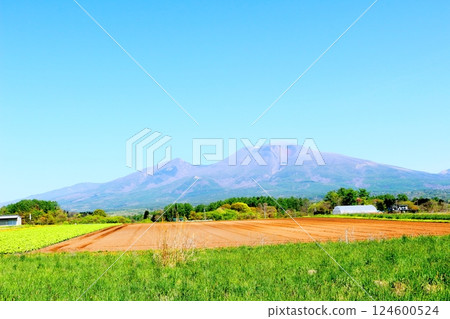 五月的淺間山　信州山　信州自然 124600524