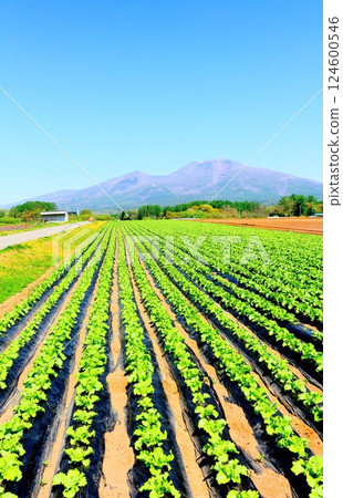 Mount Asama in May　Shinshu Mountains　Shinshu Nature 124600546