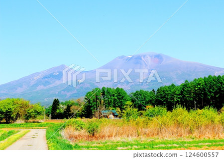 Mount Asama in May　Shinshu Mountains　Shinshu Nature 124600557