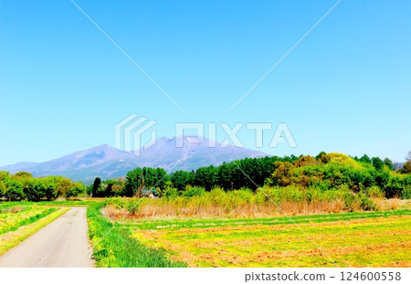 Mount Asama in May　Shinshu Mountains　Shinshu Nature 124600558