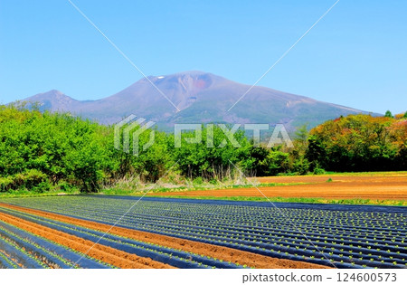 五月的淺間山　信州山　信州自然 124600573