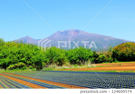 五月的淺間山　信州山　信州自然 124600574