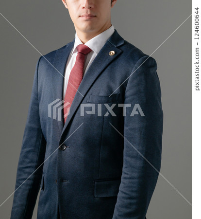 Male lawyer in suit Male lawyer in suit 124600644