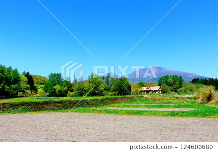 五月的淺間山 信州山 信州自然 五月的淺間山 信州山 信州自然 124600680