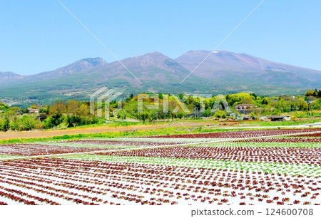 Mount Asama in May Shinshu Mountains Shinshu Nature Mount Asama in May Shinshu Mountains Shinshu Nature 124600708