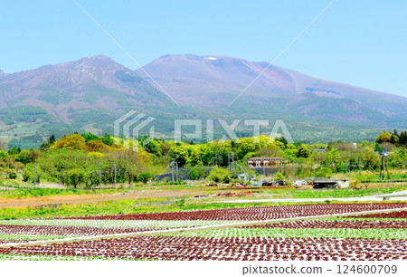 Mount Asama in May Shinshu Mountains Shinshu Nature Mount Asama in May Shinshu Mountains Shinshu Nature 124600709