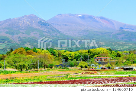 Mount Asama in May　Shinshu Mountains　Shinshu Nature 124600710