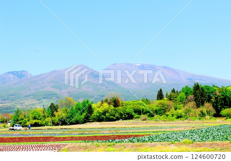 Mount Asama in May　Shinshu Mountains　Shinshu Nature 124600720