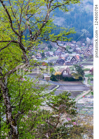 World Heritage Site Shirakawa-go (Shirakawa Village) Rural scenery from the observation deck before dawn (before rice planting) May 124600784