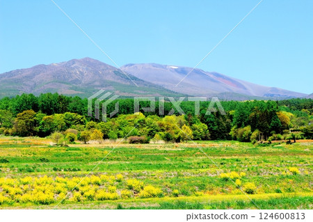 Mount Asama in May　Shinshu Mountains　Shinshu Nature 124600813