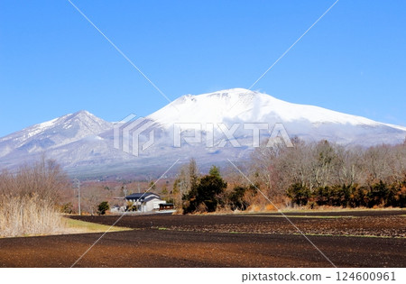 三月白雪皚皚的淺間山 信州的山脈 信州的大自然 124600961
