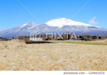 三月白雪皚皚的淺間山 信州的山脈 信州的大自然 三月白雪皚皚的淺間山 信州的山脈 信州的大自然 124601019