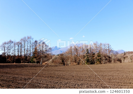 Mt. Asama in December　Shinshu Mountains　Shinshu Nature 124601350
