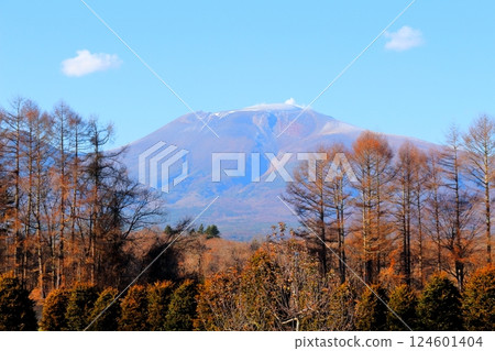 Mt. Asama in December　Shinshu Mountains　Shinshu Nature 124601404