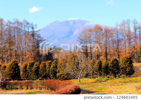 Mt. Asama in December　Shinshu Mountains　Shinshu Nature 124601405