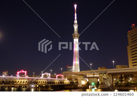從隅田川欣賞淺草、天空樹的夜景 124601460