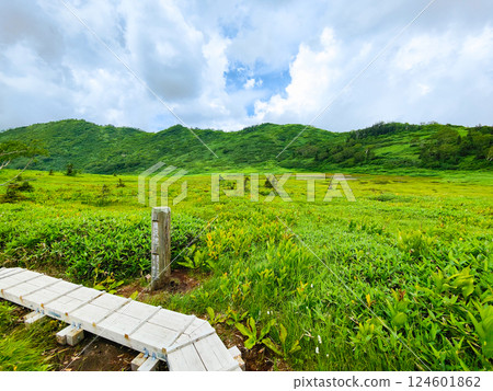 Hiuchi and Myoko mountain climbing in summer (Kurosawa Pond) Hiuchi and Myoko mountain climbing in summer (Kurosawa Pond) 124601862