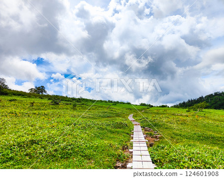 夏季火內、妙高登山(黑澤池~富士見平樞紐) 夏季火內、妙高登山(黑澤池~富士見平樞紐) 124601908