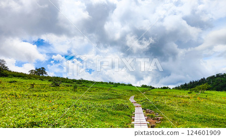 夏季火內、妙高登山（黑澤池～富士見平樞紐） 124601909