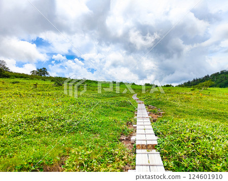 夏季火內、妙高登山（黑澤池～富士見平樞紐） 124601910