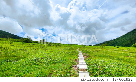夏季火內、妙高登山（黑澤池～富士見平樞紐） 124601922