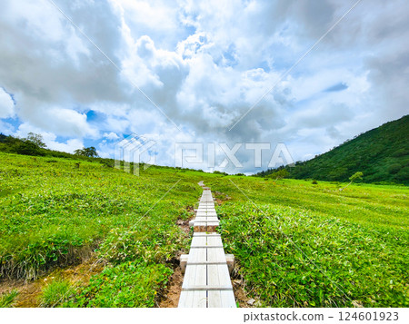 夏季火內、妙高登山（黑澤池～富士見平樞紐） 124601923