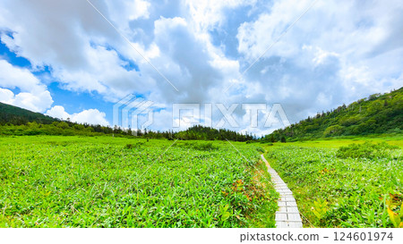 夏季火內、妙高登山（黑澤池～富士見平樞紐） 124601974
