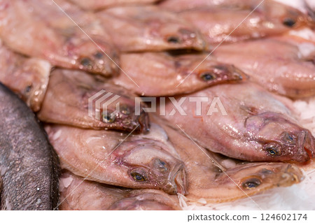 Crumbled ice, carcasses of solea fish trunk lie on its surface, close up 124602174