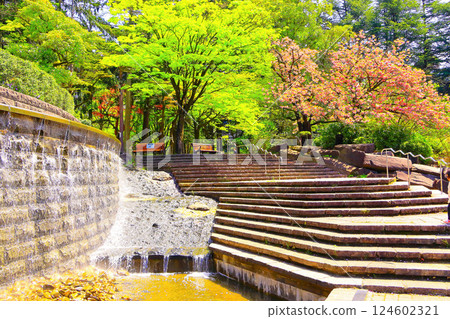 清新綠意的勾當台公園 124602321