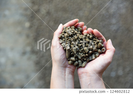 Hands holding bunch of reapeseed cake 124602812