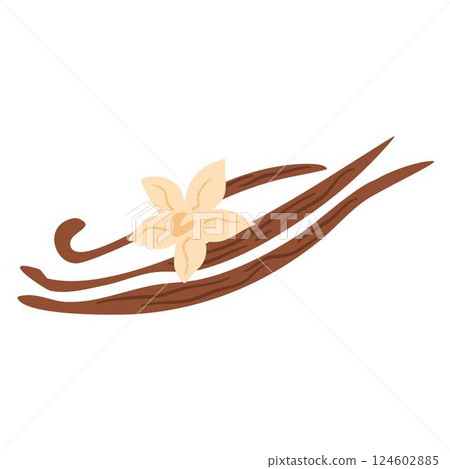 Vanilla Beans and Flower, Vanilla flower dried sticks Vanilla Beans and Flower, Vanilla flower dried sticks 124602885