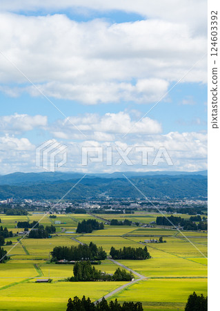 View of the rice paddy fields and the city from Enmanji Kannonyama in Hanamaki, Iwate Prefecture 124603392