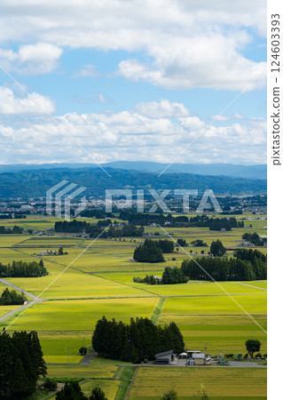 View of the rice paddy fields and the city from Enmanji Kannonyama in Hanamaki, Iwate Prefecture 124603393