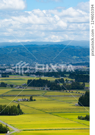 View of the rice paddy fields and the city from Enmanji Kannonyama in Hanamaki, Iwate Prefecture 124603394