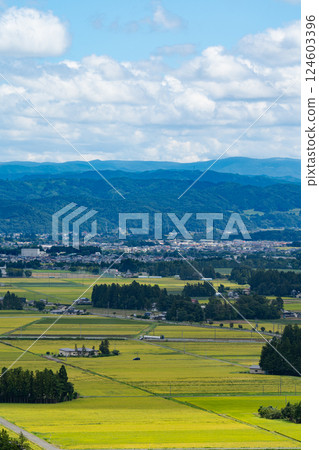 從岩手縣花捲市的圓滿寺觀音山俯瞰稻田和城市 124603396