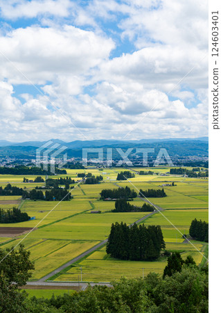 View of the rice paddy fields and the city from Enmanji Kannonyama in Hanamaki, Iwate Prefecture 124603401